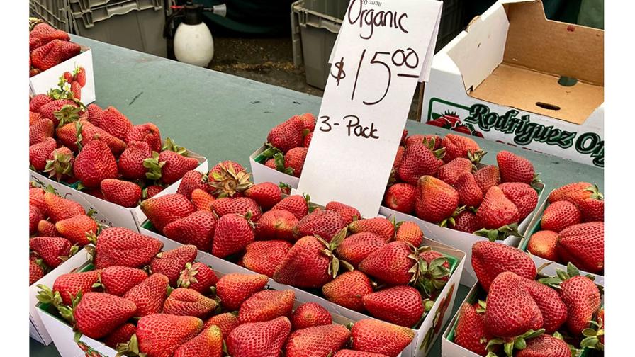 Adding up the Cost of Growing Organic Strawberries