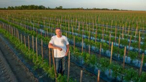 At Lady Moon Farms, Success Has Deep Roots