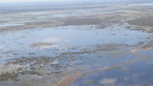 Final Report: Hurricane Ian Effects on Florida Ag Add up to $1 Billion