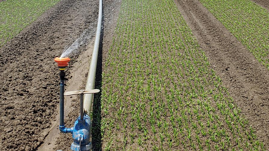 Pour It On! 6 Irrigation Tech Predictions for 2023