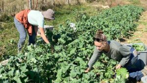 By The Numbers: Family Matters Big Time on U.S. Farms
