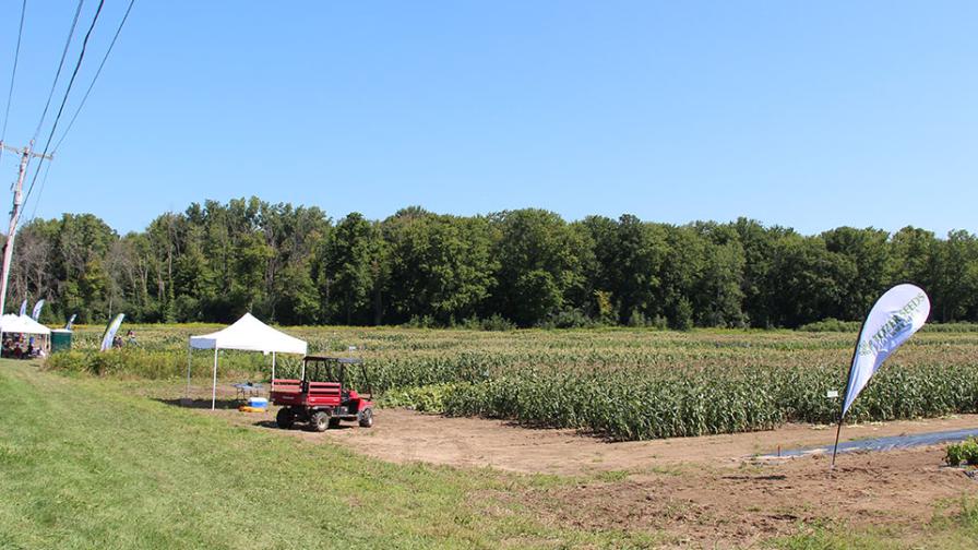 Group vegetable variety trial plantings 2022