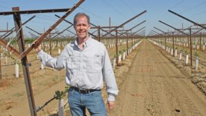 How International Fruit Genetics Is Taking Plant Breeding To the Next Level