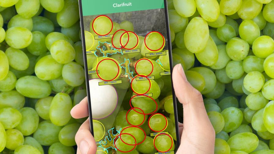 Clarifruit Raises $12 Million To Reduce $900 Billion Annual Waste in Fruit, Vegetable Industries