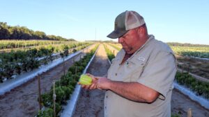 A New Take on a 110-Year-Old Vegetable Farm