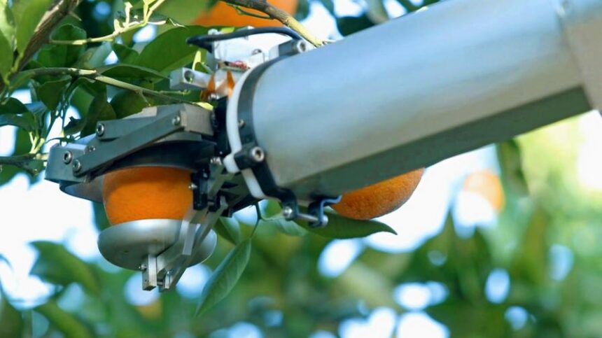 New Fruit Harvesting Robot Powered by AI Comes To Life - Growing Produce