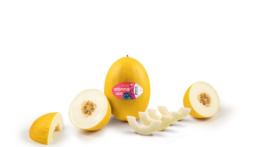 Alonna greenhouse melon from Pure Flavor