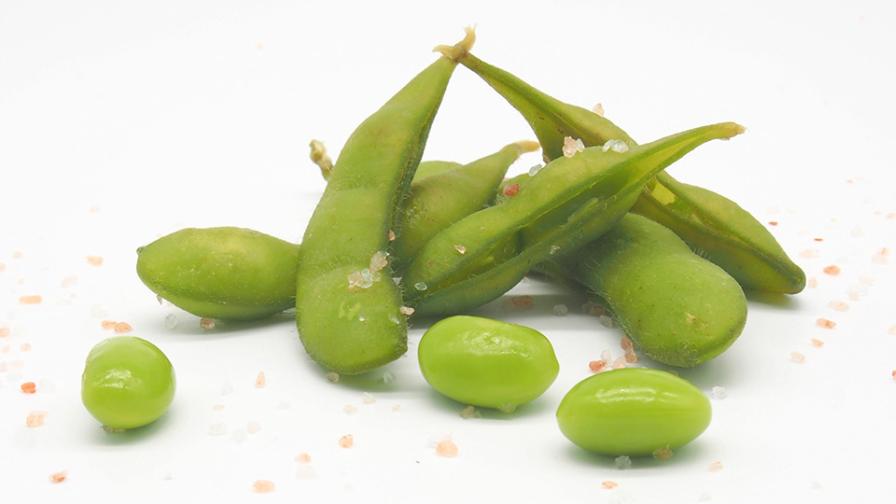 Need Alternative Crop Ideas For Your Farm? Check Out These 10