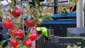 Growing Apples Around the World: Robotics Take Center Stage at Interpoma
