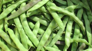 A Revival of Alternative Crops in West Virginia