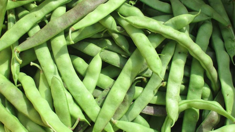 A Revival of Alternative Crops in West Virginia
