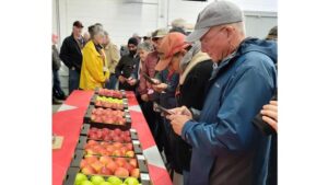 Get Out There! Apple Grower of the Year Encourages Other Producers To Explore