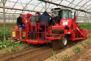 ASA-Lift KT-175 Potato Harvester