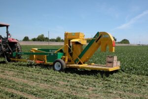 Oxbo BH100 Bean Harvester