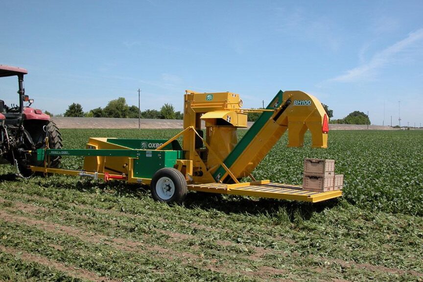 Oxbo BH100 Bean Harvester