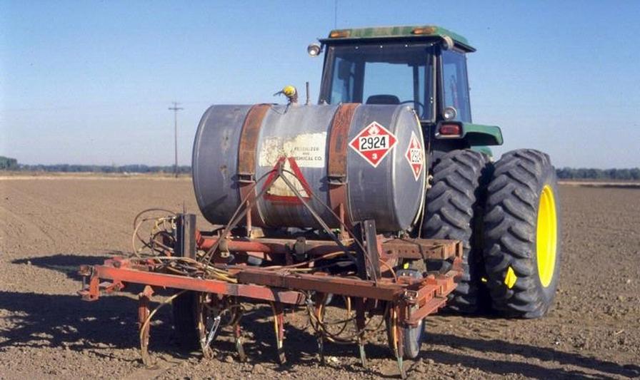 Nematicides Know-How: Ways To Help Rid Your Potato Crops of Nematodes