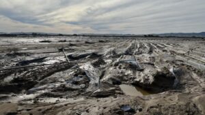 Storm-Induced Flood Concerns a Reality for Tree Crops