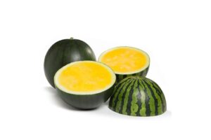 Tropical Sunshine RZ (Rijk Zwaan USA)