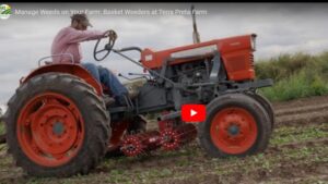 Watch and Learn How To Keep Your Fields Clean With Basket Weeders [Video]