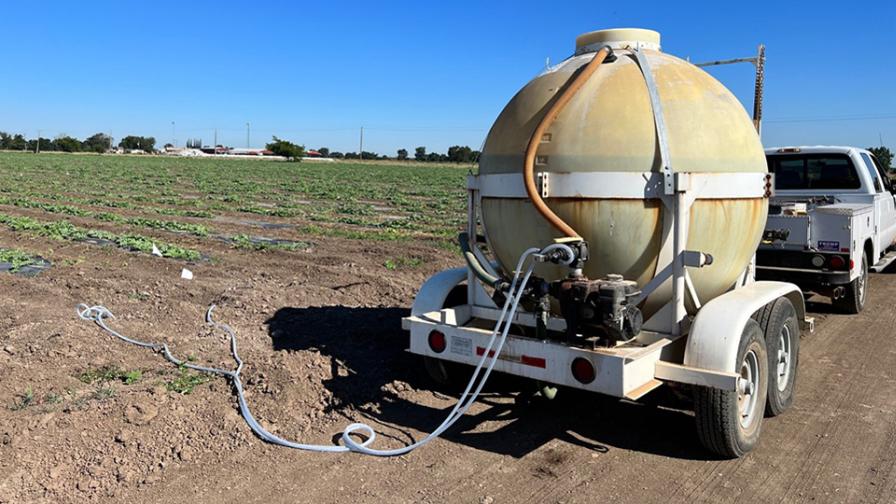 Chemigation of watermelon field