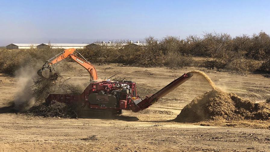 Is Whole Orchard Recycling a Good Fit for Apple Growing?