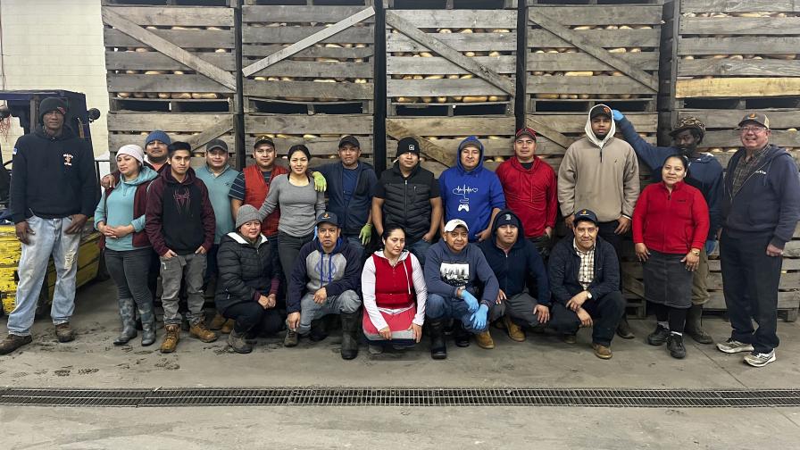 Workers at Plainville Farm