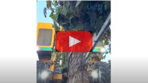 Watch Innovative Farm Harvesters Growing To the Next Level [Video]
