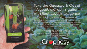 How to take the guesswork out of crop irrigation