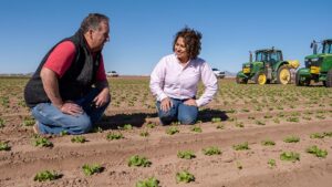 What Top-Level Food Safety Looks Like at a Vegetable Farm