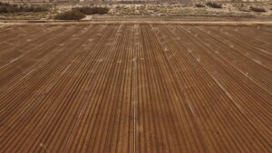 Power of Understanding Point of View Can Be Big Opportunity for Farmers