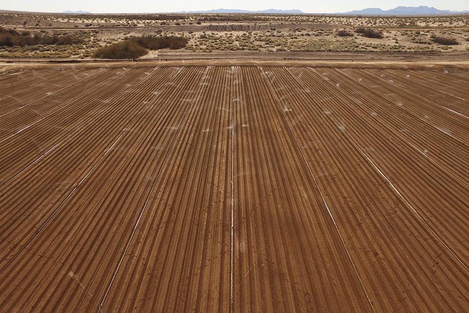 Overhead perspective of overhead sprinklers at JV Smith Companies