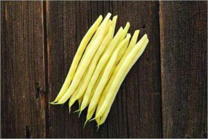 SV1003GF (Seminis Vegetable Seeds, Rupp Seeds)
