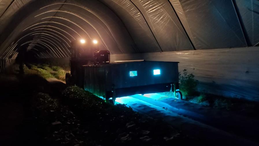 UV light technology being used to suppress powdery mildew on cantaloupe