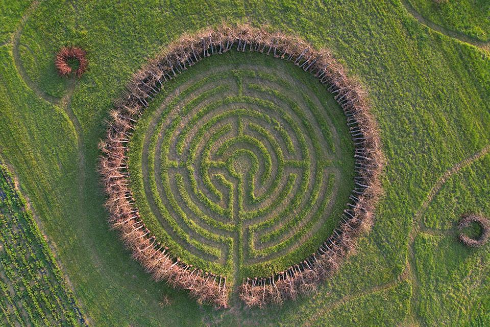 Expired apple trees readied for returning to earth ceremony