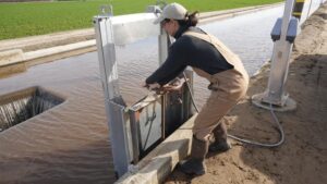 Pour It On: Almond Growers Encouraged to Recharge Groundwater
