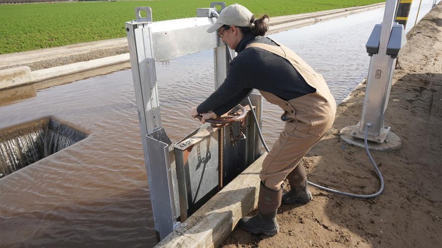 Pour It On: Almond Growers Encouraged to Recharge Groundwater