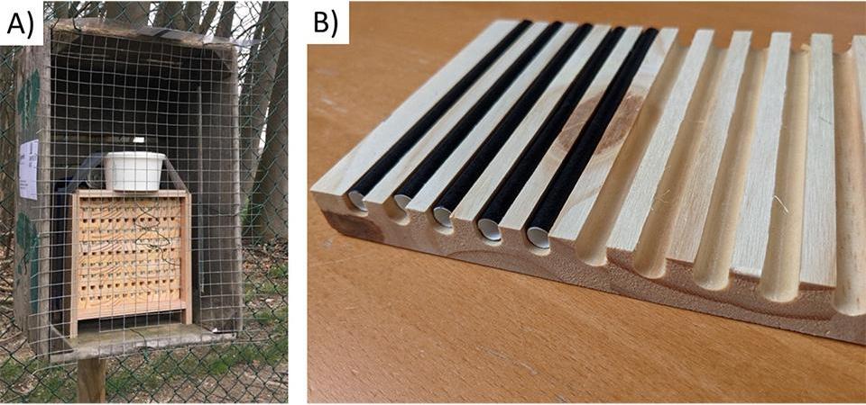 Mason bee nest box setup