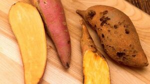 Research Work Pays Off in Quest To Build a Better Sweet Potato