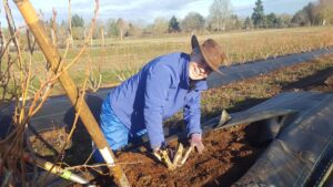 Nevers Are Hard: Unexpected Death of Colleague Puts Things in Perspective