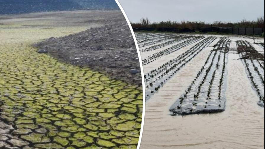 Weather Woah! What a Difference a Half Year Makes for California Growers