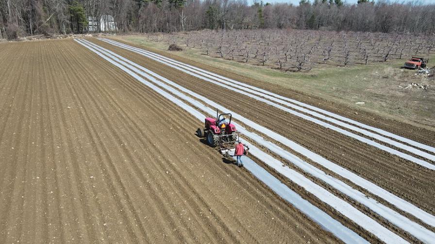 Getting Geared up for the Sweet Corn Sprint
