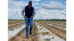 Wisdom on What It Takes To Grow Amazing Watermelons