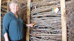 Overabundance of Fruit Tree Rootstock Options a Growing Issue for Nurseries Today
