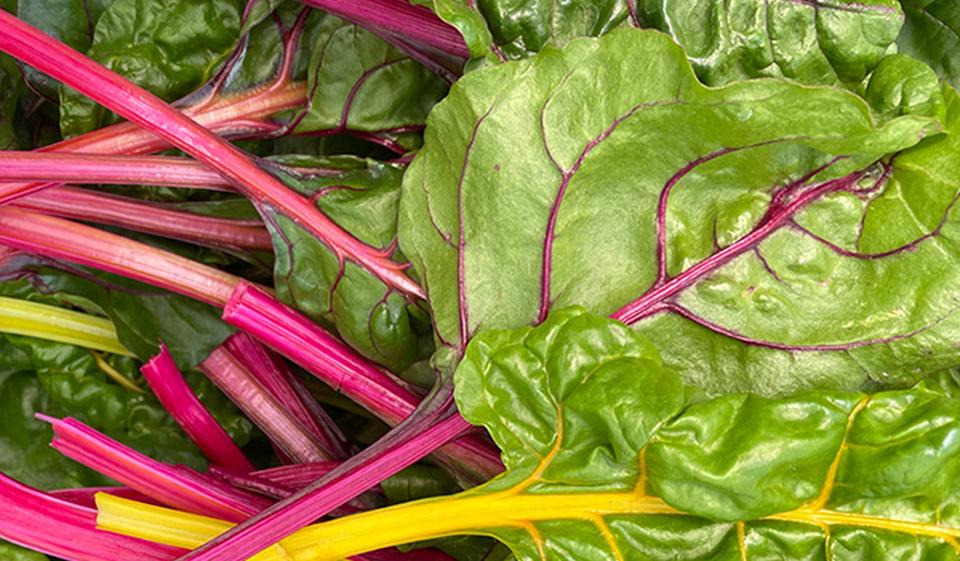 Rainbow chard