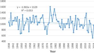 What Can Past Chill Hours Foretell for Peach Production in the Southeast U.S.?