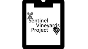 Grape Expectations in Helping To Bring the Commonwealth Together