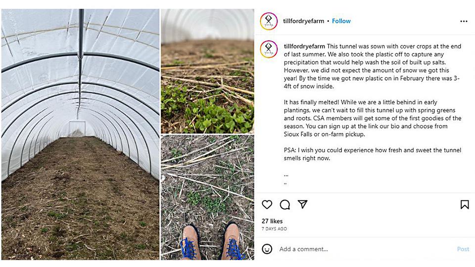 Tillford Rye Farm Instagram post on high tunnel cover crops