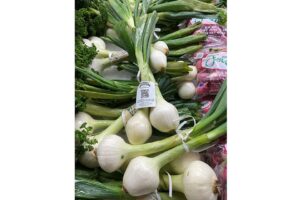 Herndon Country Farms (Lyons, GA)
