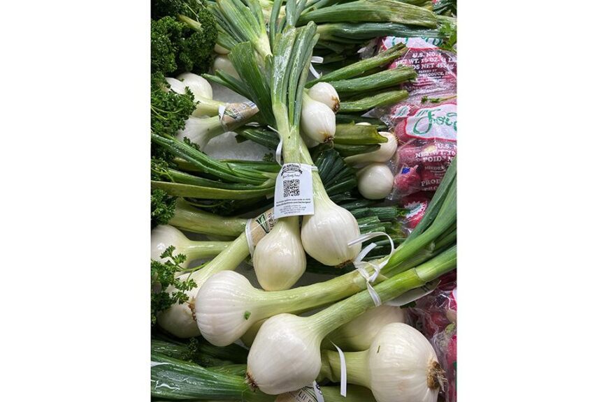 Herndon Country Farms (Lyons, GA)