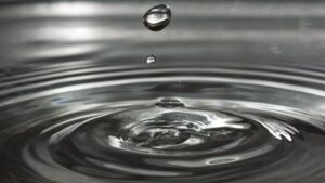 Nut Growers Out West Feeling the Weight of Water
